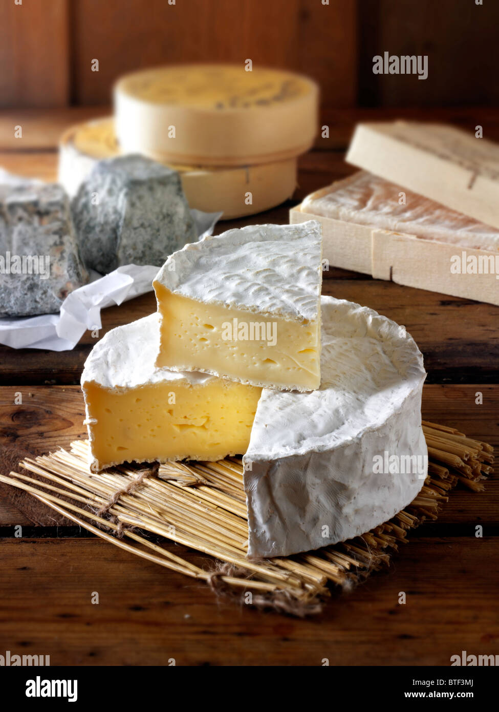 Traditional coulommier French cheese Stock Photo