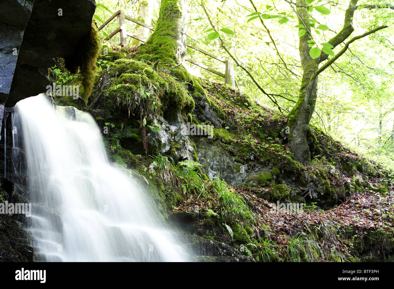 Tributary waterfall in the Birks of Aberfeldy Scotland, made famous by Robert Burns Stock Photo