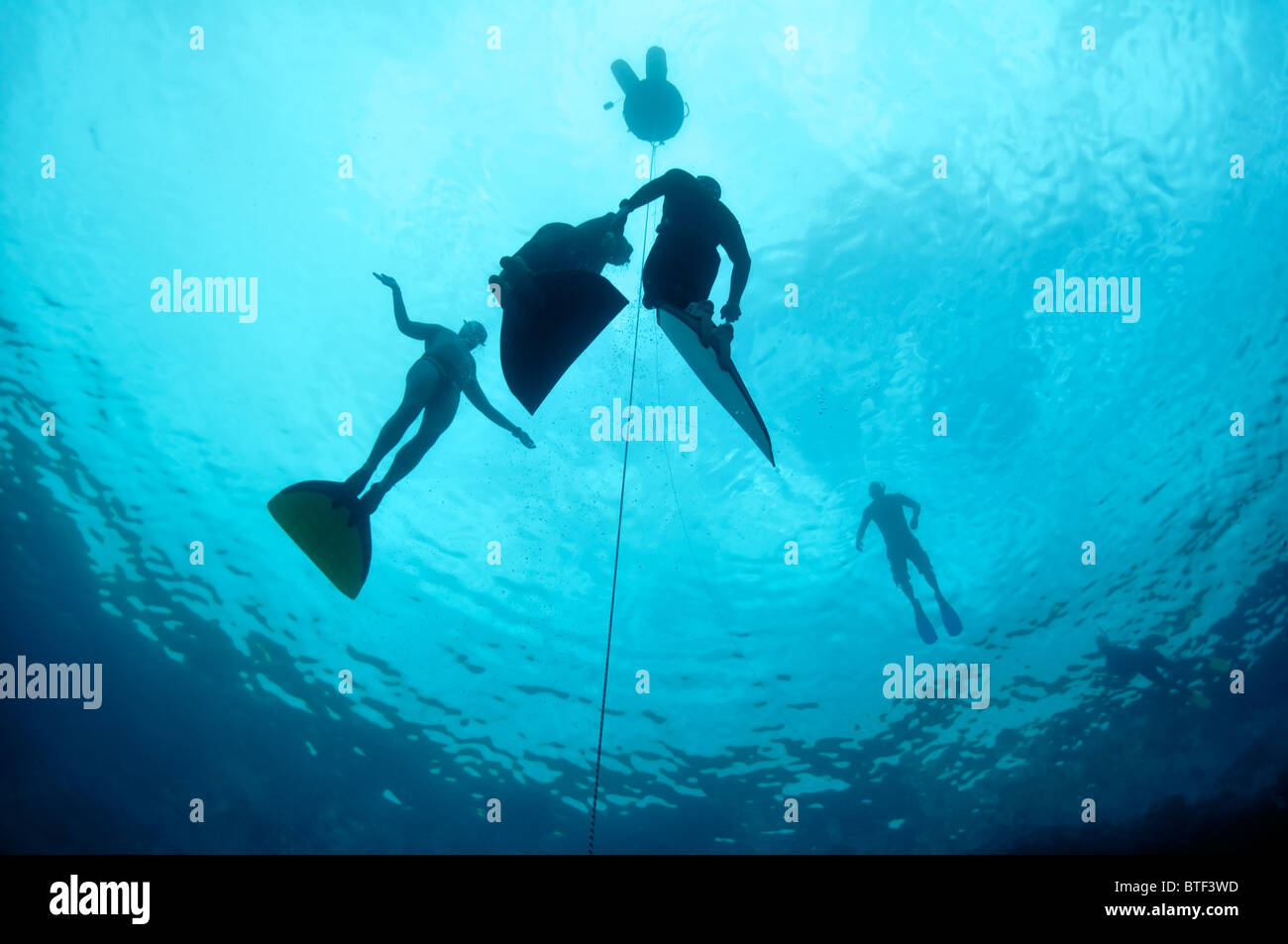 There are some underwater silhouettes of freedivers who train in the depth of the Blue Hole, Red Sea, Egypt Stock Photo