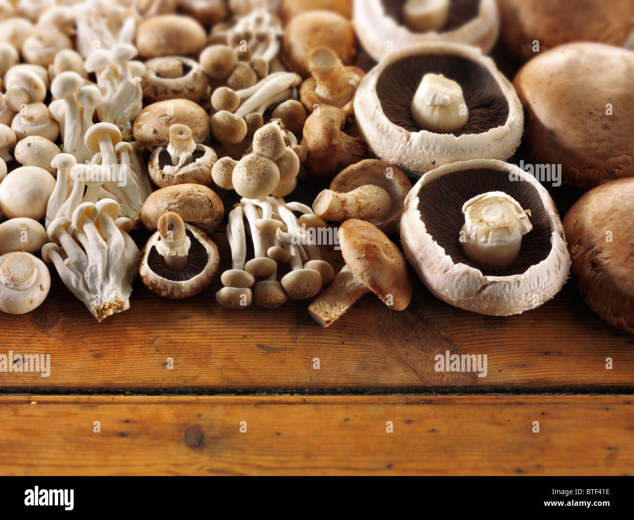 Fresh raw mixed whole cultivated mushrooms arranged on a rustic wooden table Stock Photo