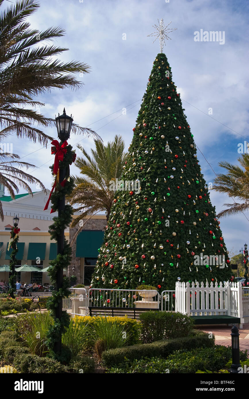 Festive Christmas Tree in center square of Lakewood Ranch, Florida