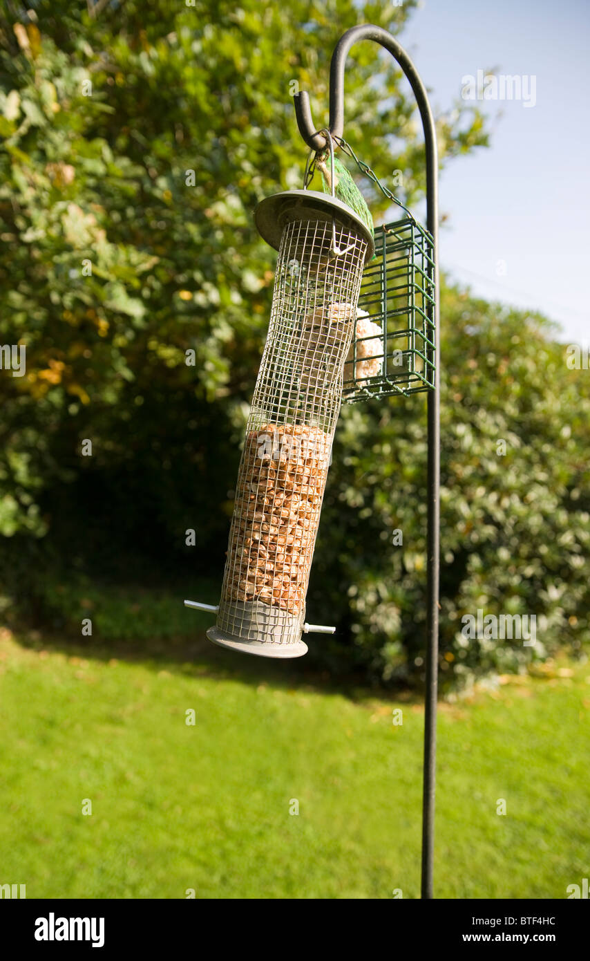 peanut filled wire meshed bird garden feeder with fat ball cage hanging on an iron crook with green trees and lawn Stock Photo