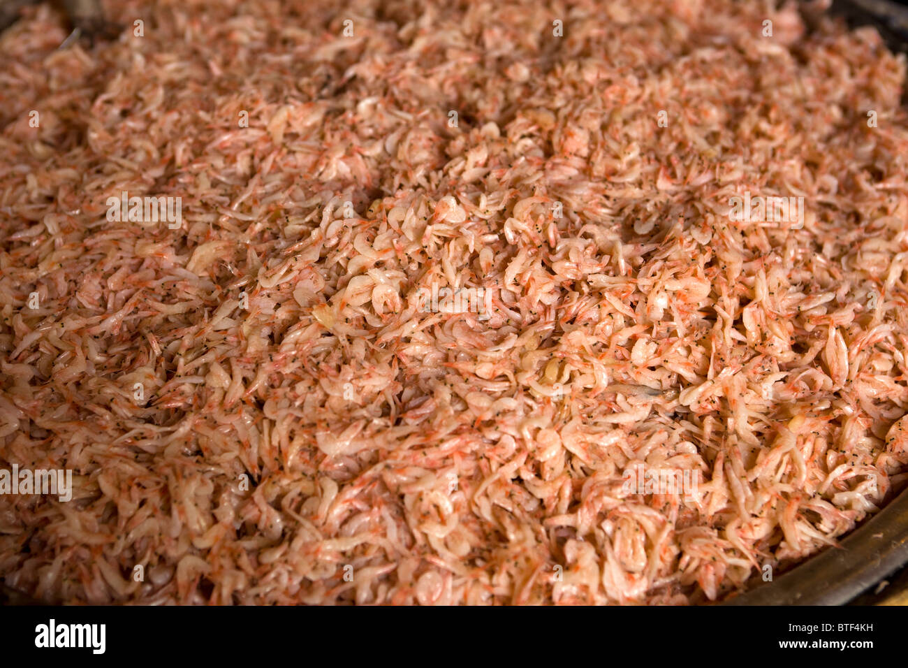Baby Shrimp or Krill Stall Seoul South Korea Stock Photo