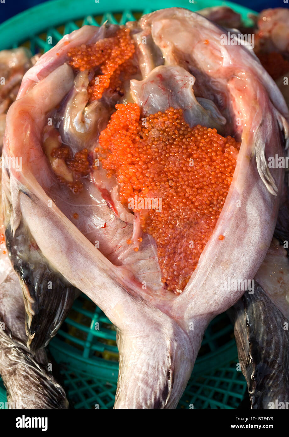 Monkfish on sale at market in Seoul South Korea showing liver and roe Stock Photo