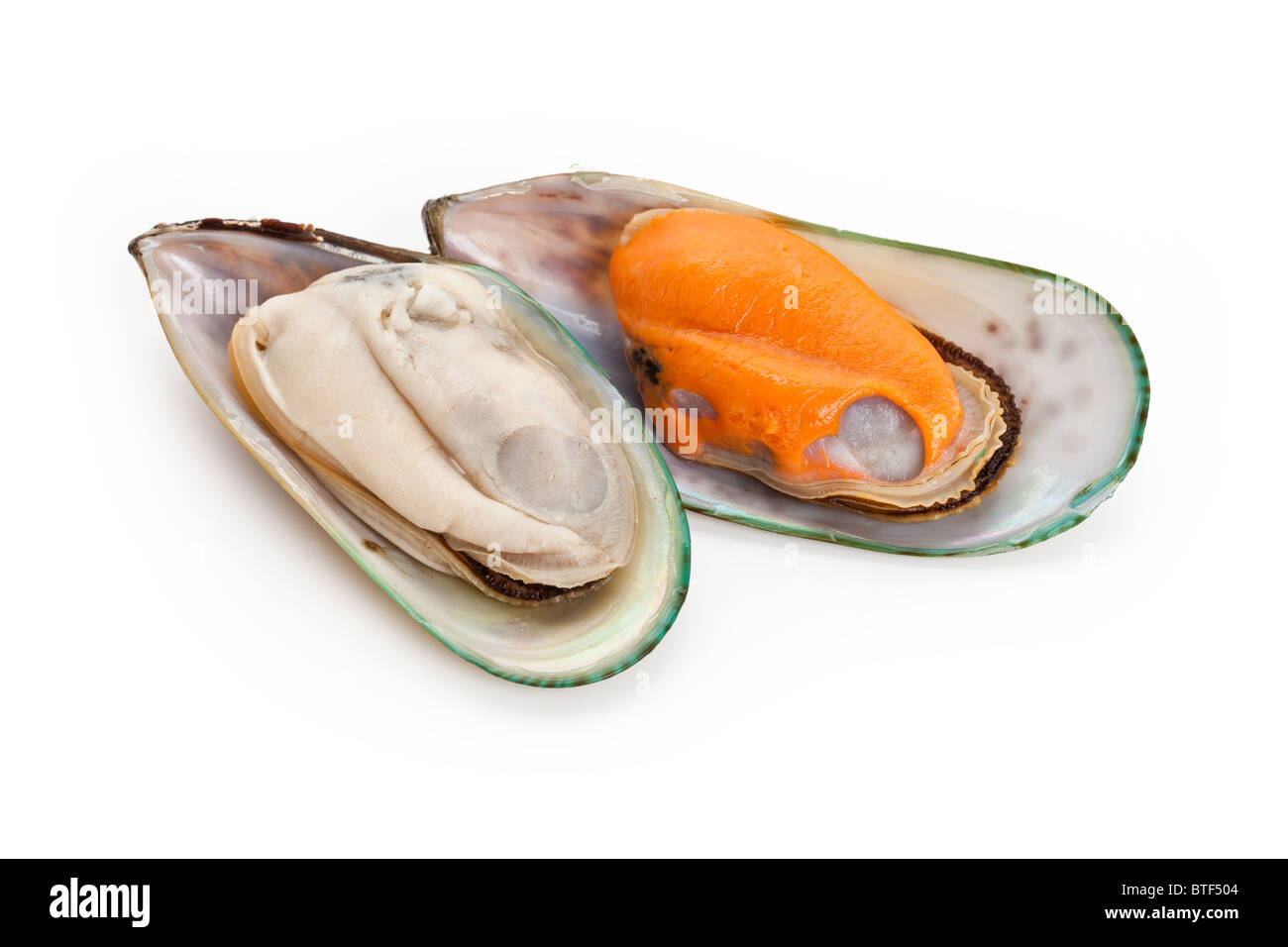 Raw Mussel with white background Stock Photo Alamy