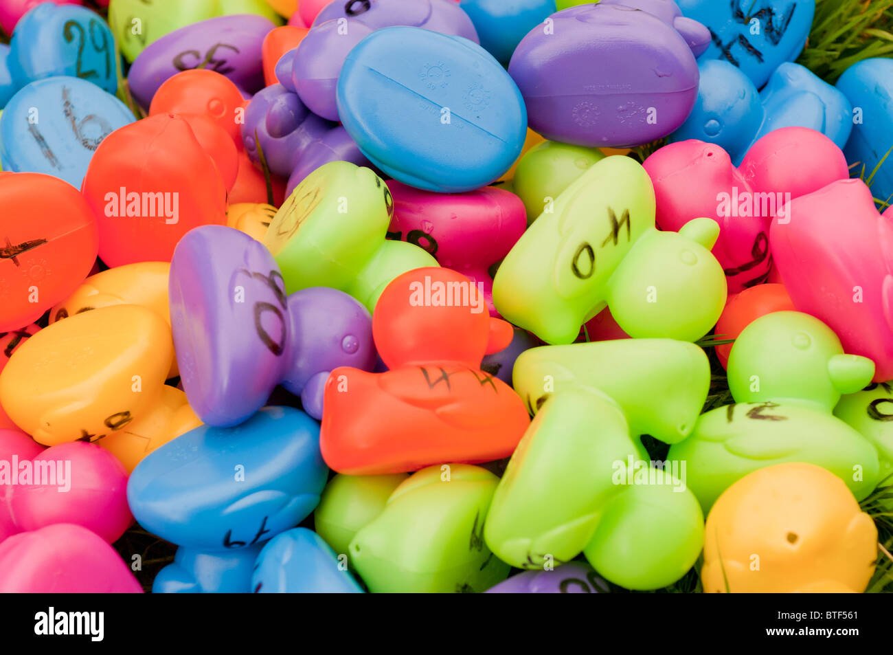 Pile of brightly coloured, numbered rubber ducks, ready for a 'Duck Race' to raise money for charity Stock Photo