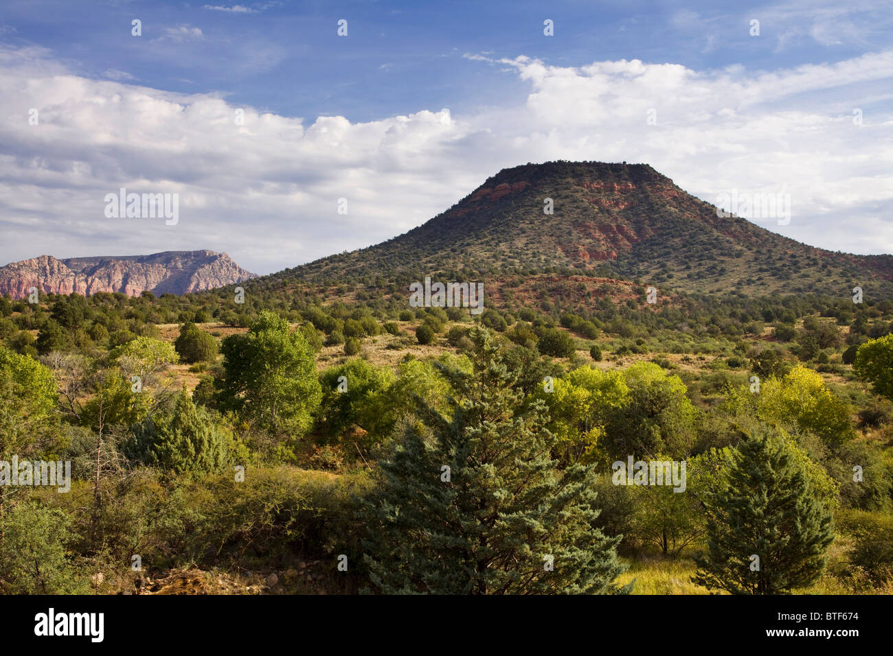 American Southwest desert mesa covered with vegetation - Arizona USA Stock Photo