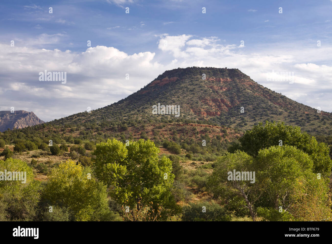 American Southwest desert mesa covered with vegetation - Arizona USA Stock Photo