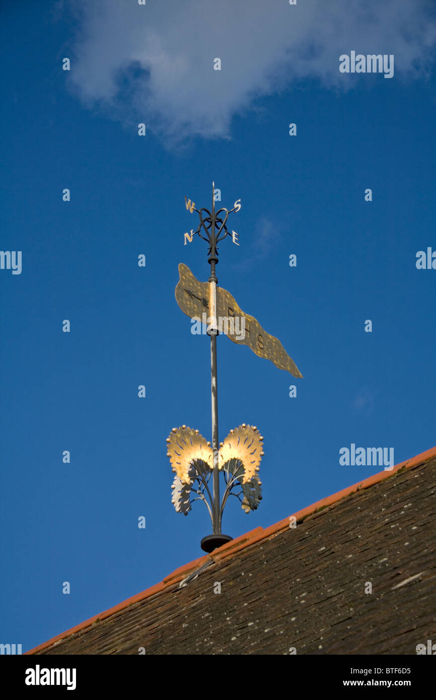 Weather vane at Royal Horticultural Society (RHS) gardens Wisley against a blue sky Stock Photo