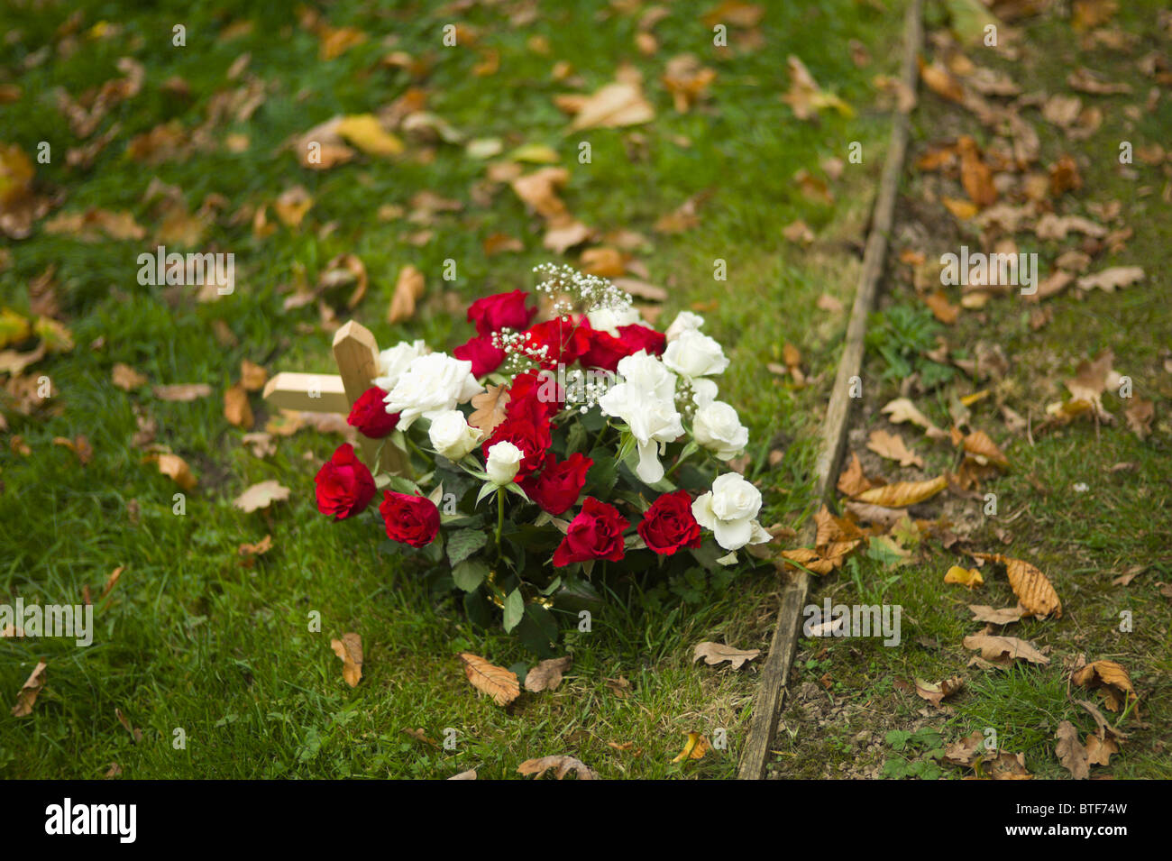 flowers on grave Stock Photo Alamy