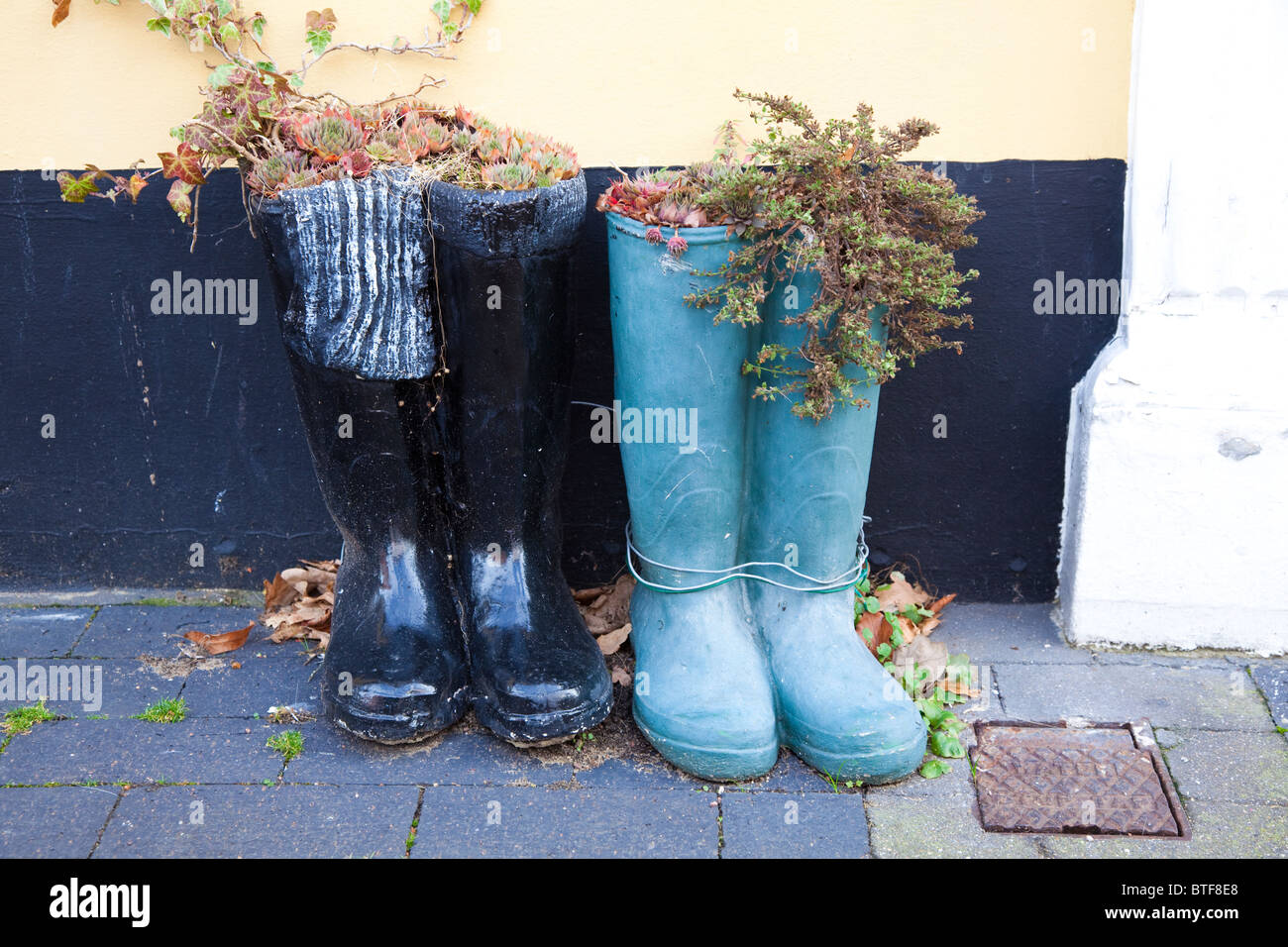 Wellington Boot plant pots, Kent, UK Stock Photo Alamy