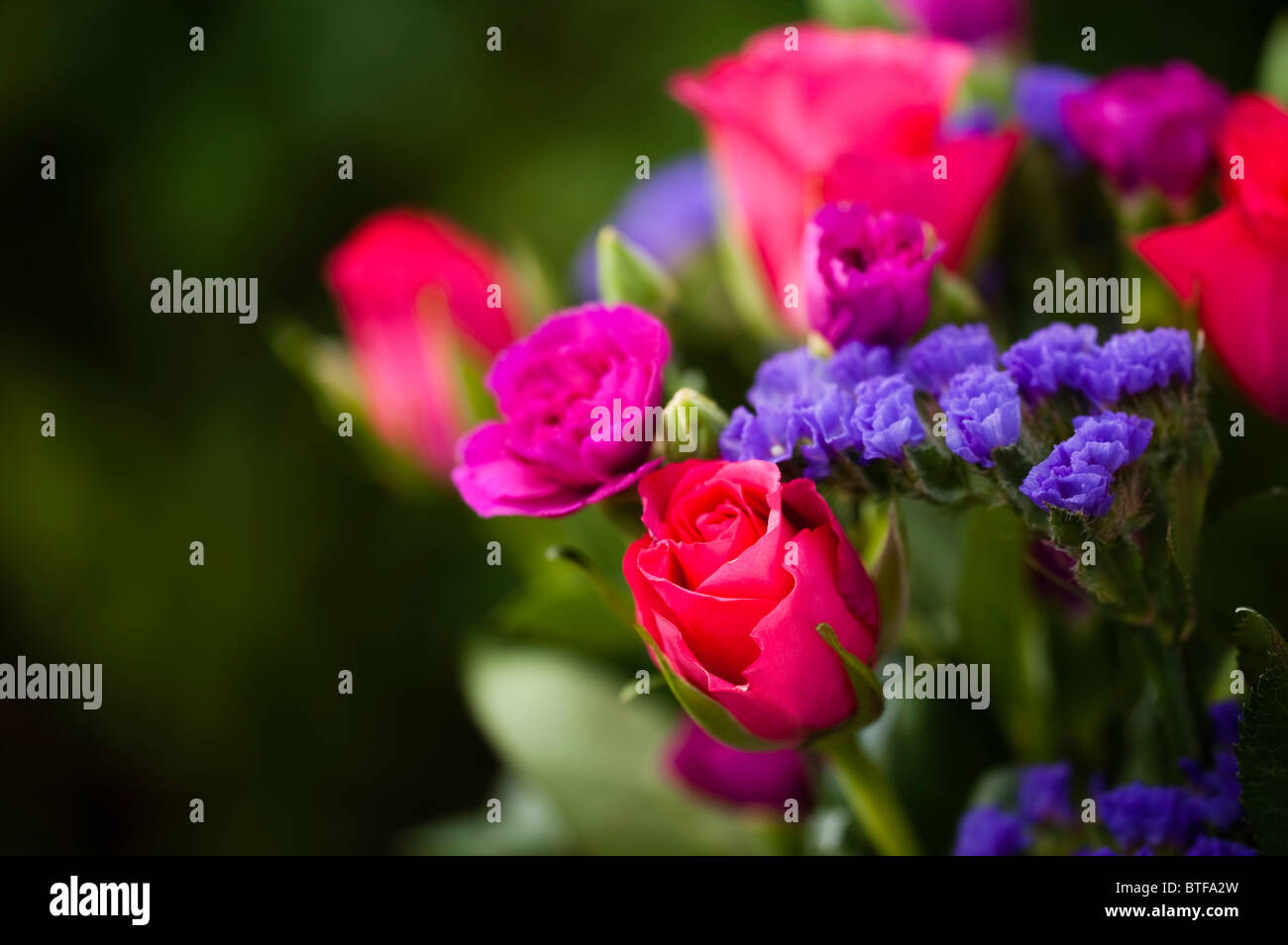 Mixed bunch of hot coloured roses, carnations and statice Stock Photo