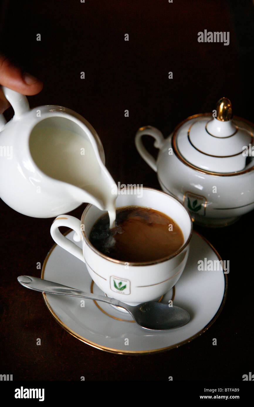 Close up of hand pouring tea, Sri Lanka. Stock Photo