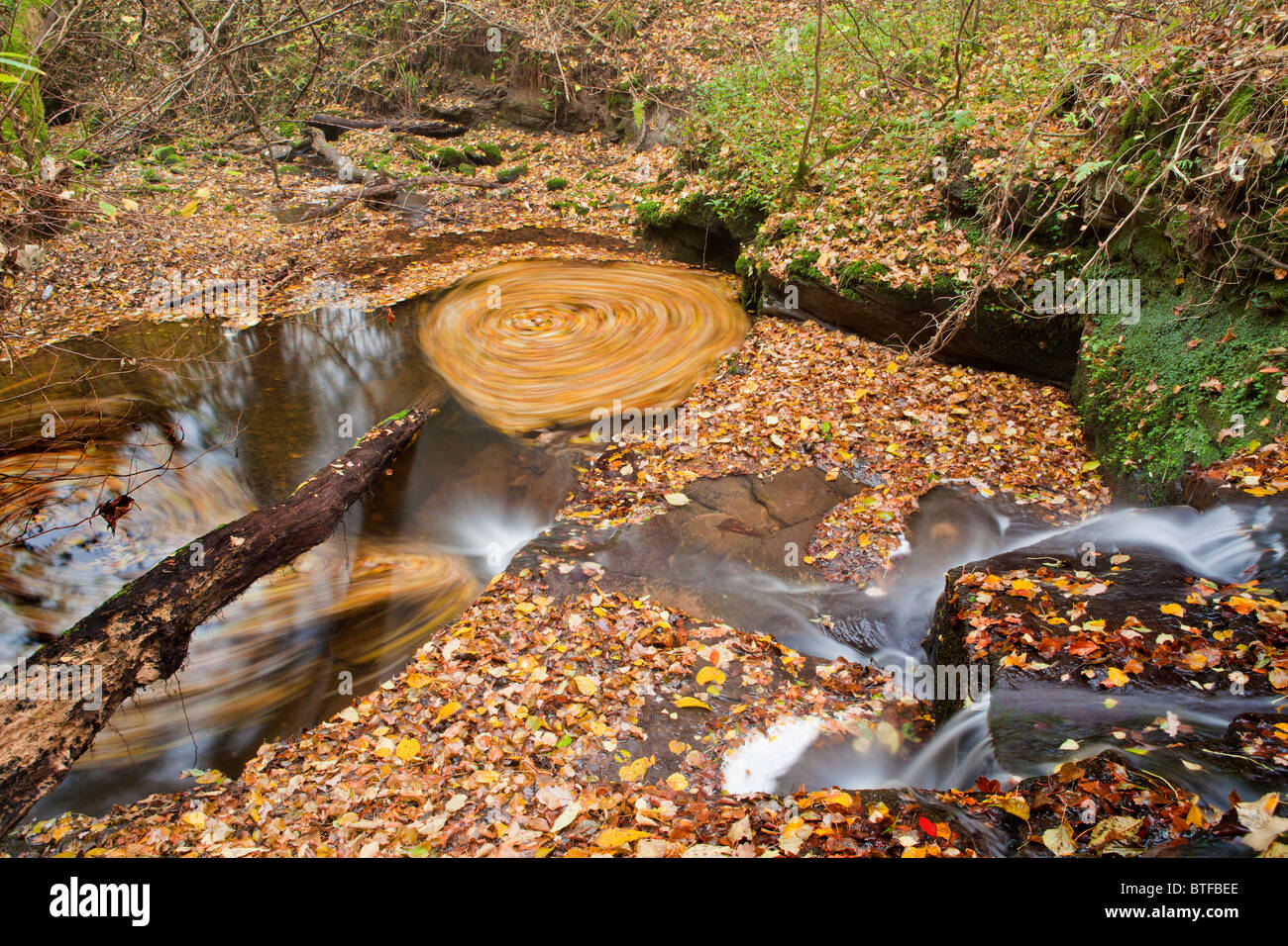 Autumnal woodland scene with stream and waterfall Stock Photo - Alamy