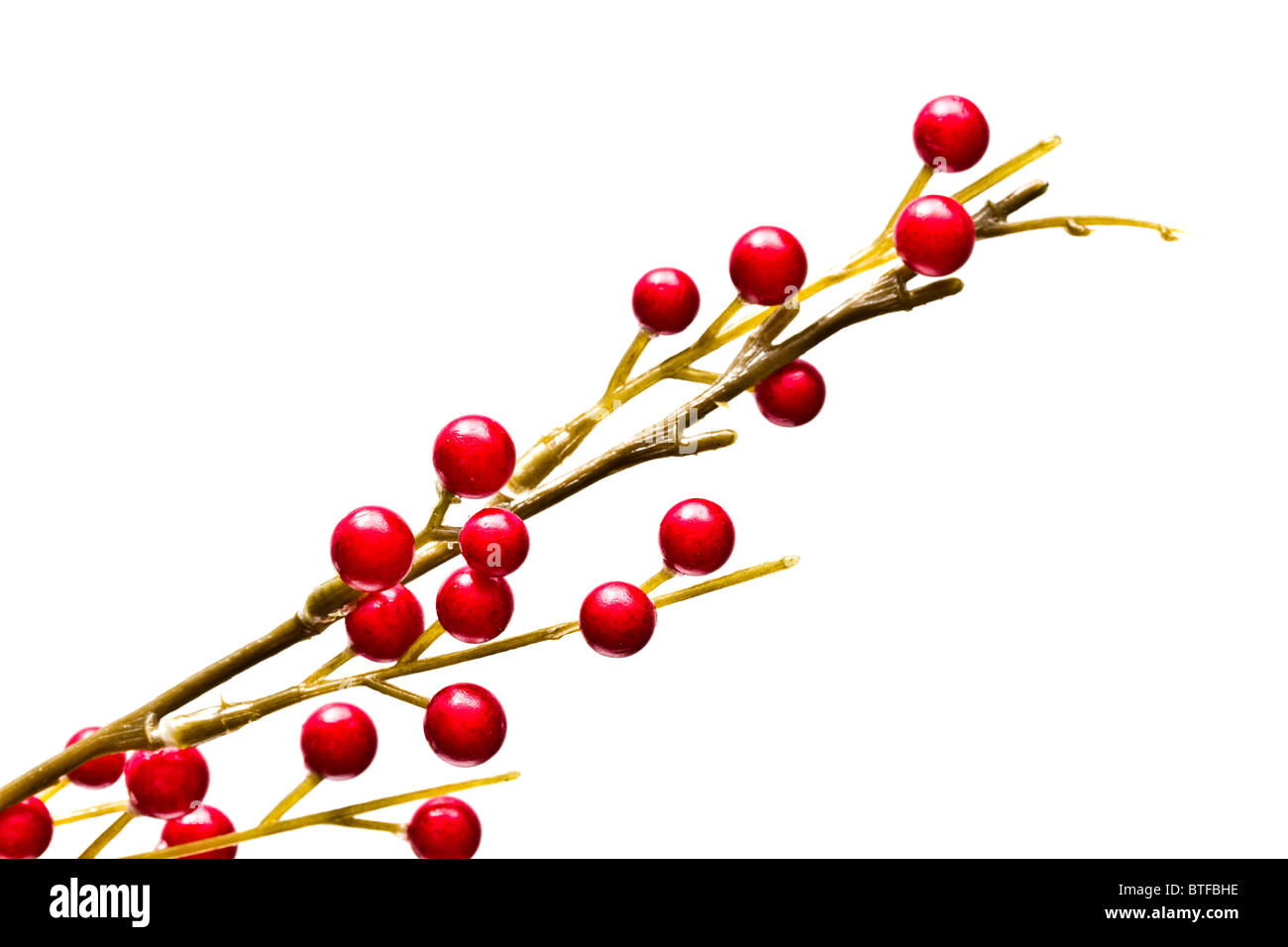 Red holly berries isolated on white background Stock Photo - Alamy