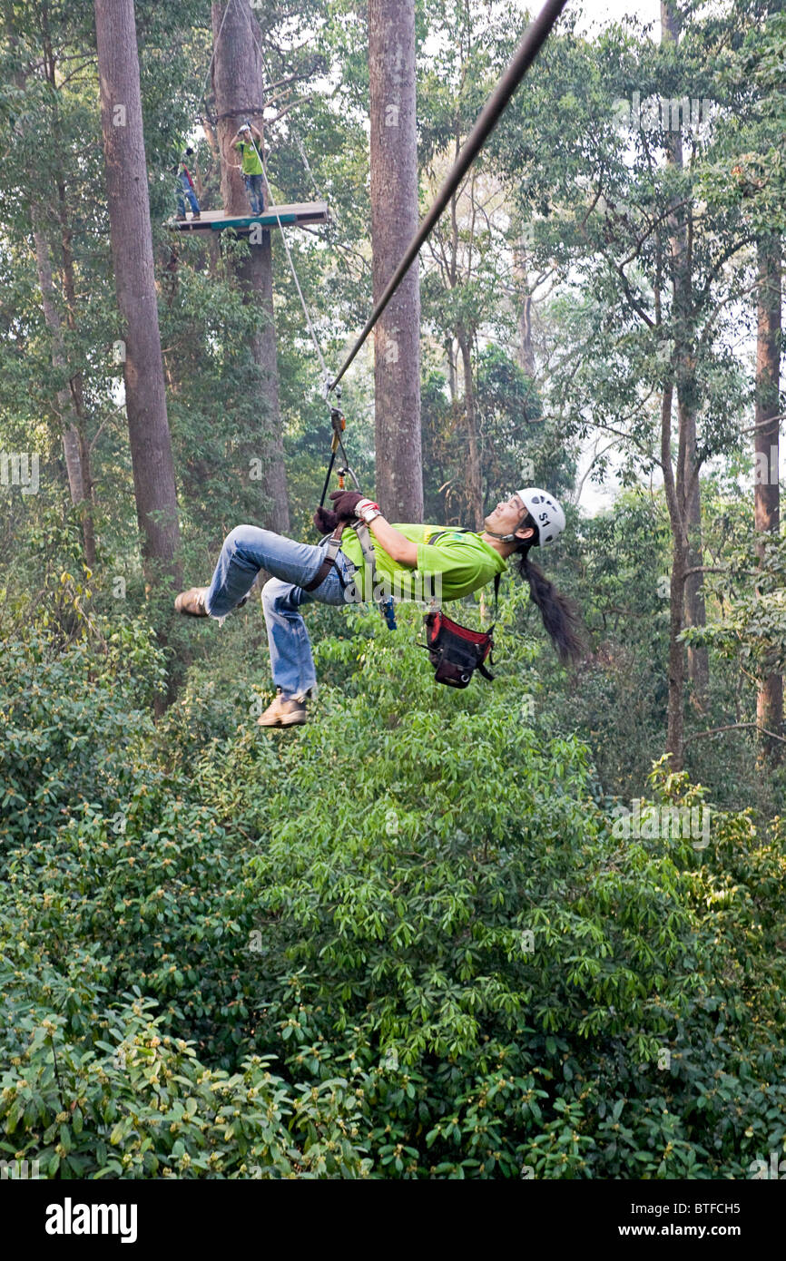 Man having fun on ziplines at canopy tour in the Chiang Mai area of Thailand. Stock Photo