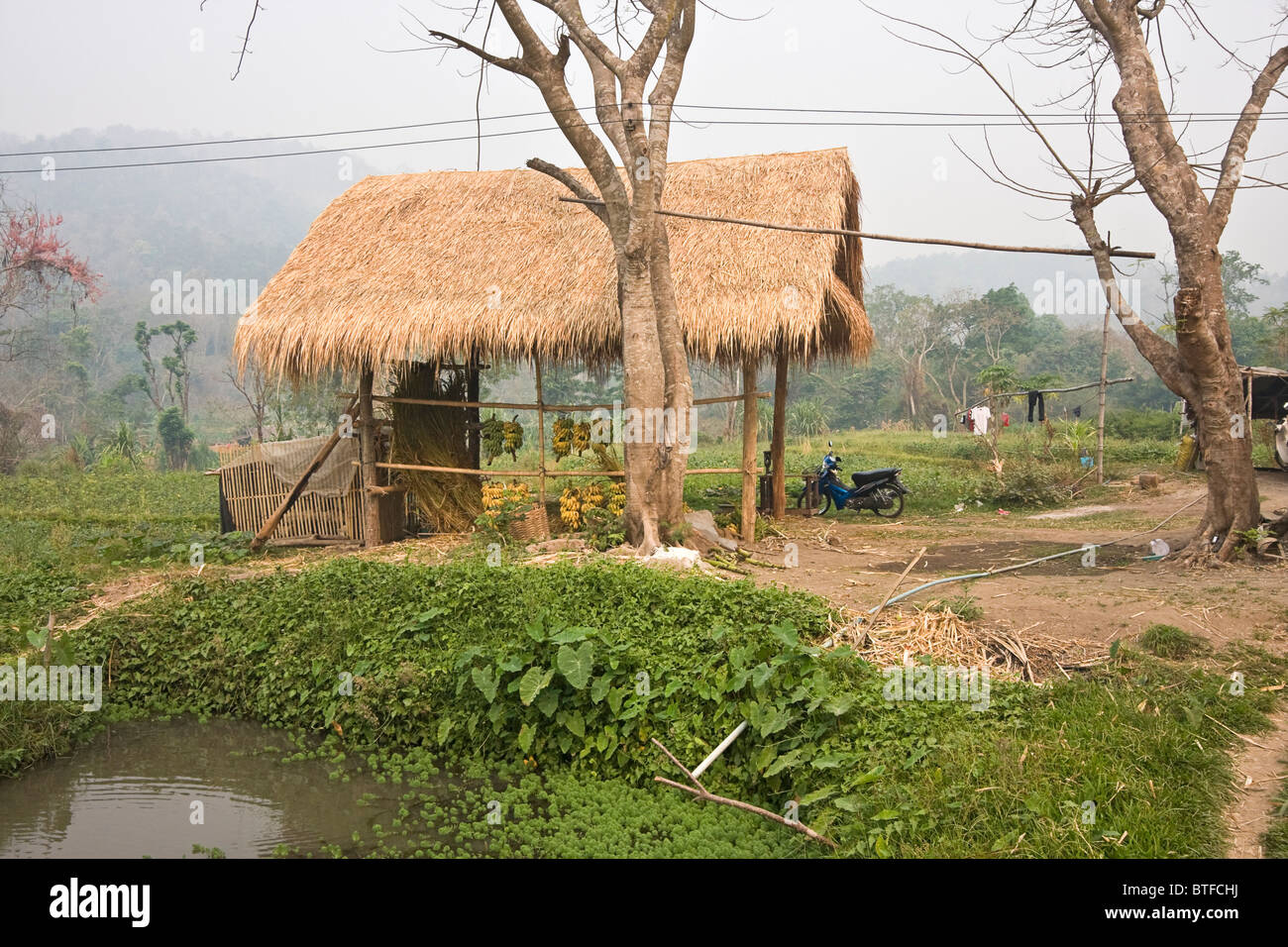 Thatch Stock Photos & Thatch Stock Images - Alamy