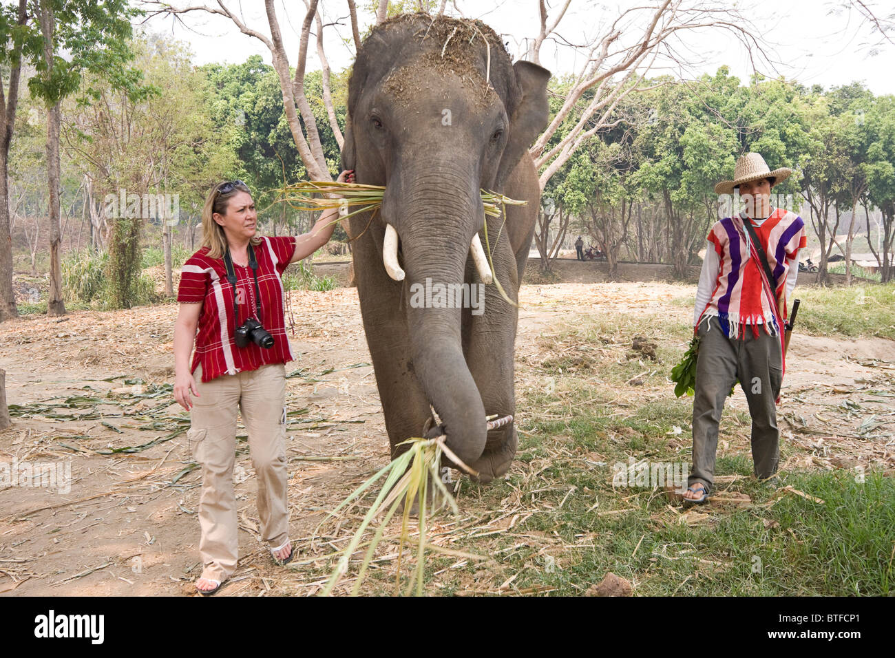 Tourists learn how to greet and feed 'their' elephant at Patara ...
