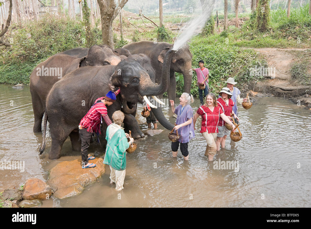 Tourists have fun in creek while elephants spray water at them at Patara Elephant Farm, an elephant rescue operation in Thailand Stock Photo