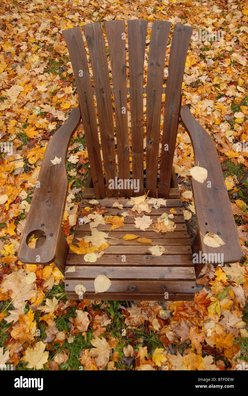 Fayston chair online