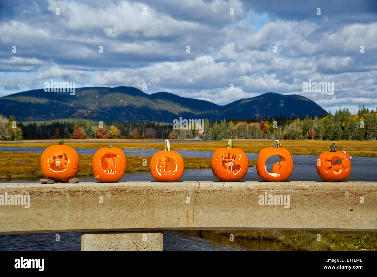 Halloween pumpkins decorate a bridge on Mount Desert Island, Maine. Stock Photo