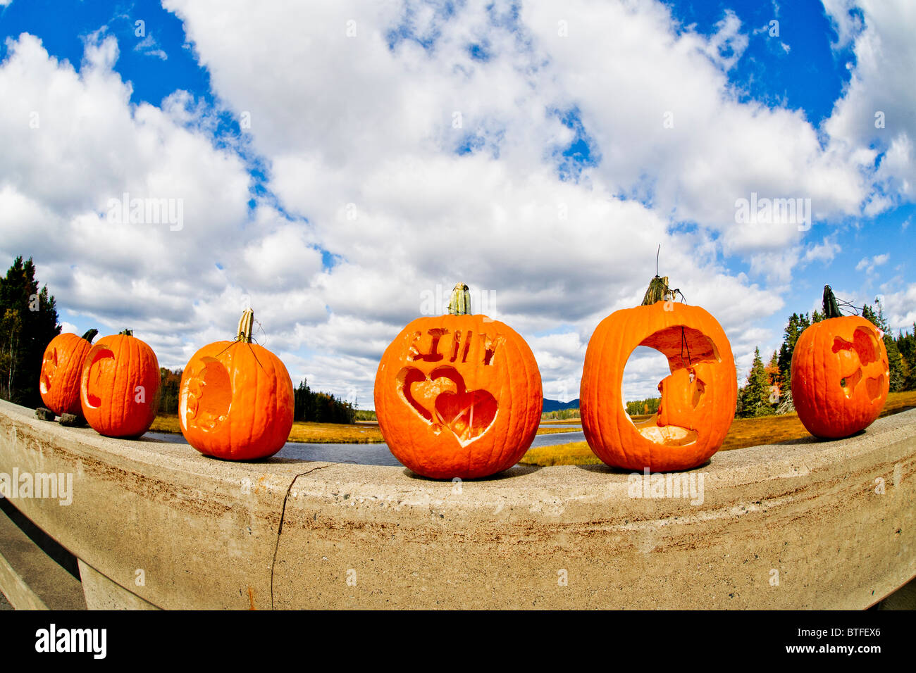 Halloween pumpkins decorate a bridge on Mount Desert Island, Maine. Stock Photo