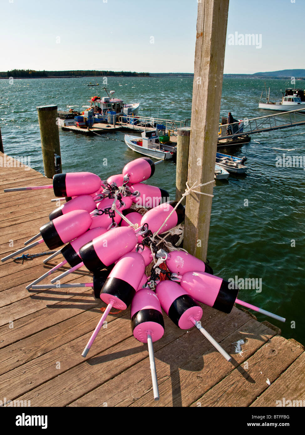Pink lobster trap floats are piled on a pier in Islesford, Maine, while  lobstermen unload a catch from their boat in background Stock Photo - Alamy