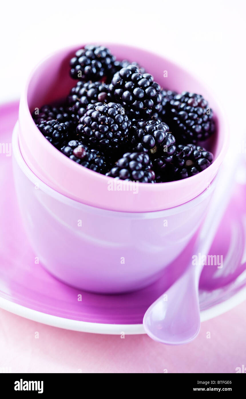 juicy fresh blackberries Stock Photo