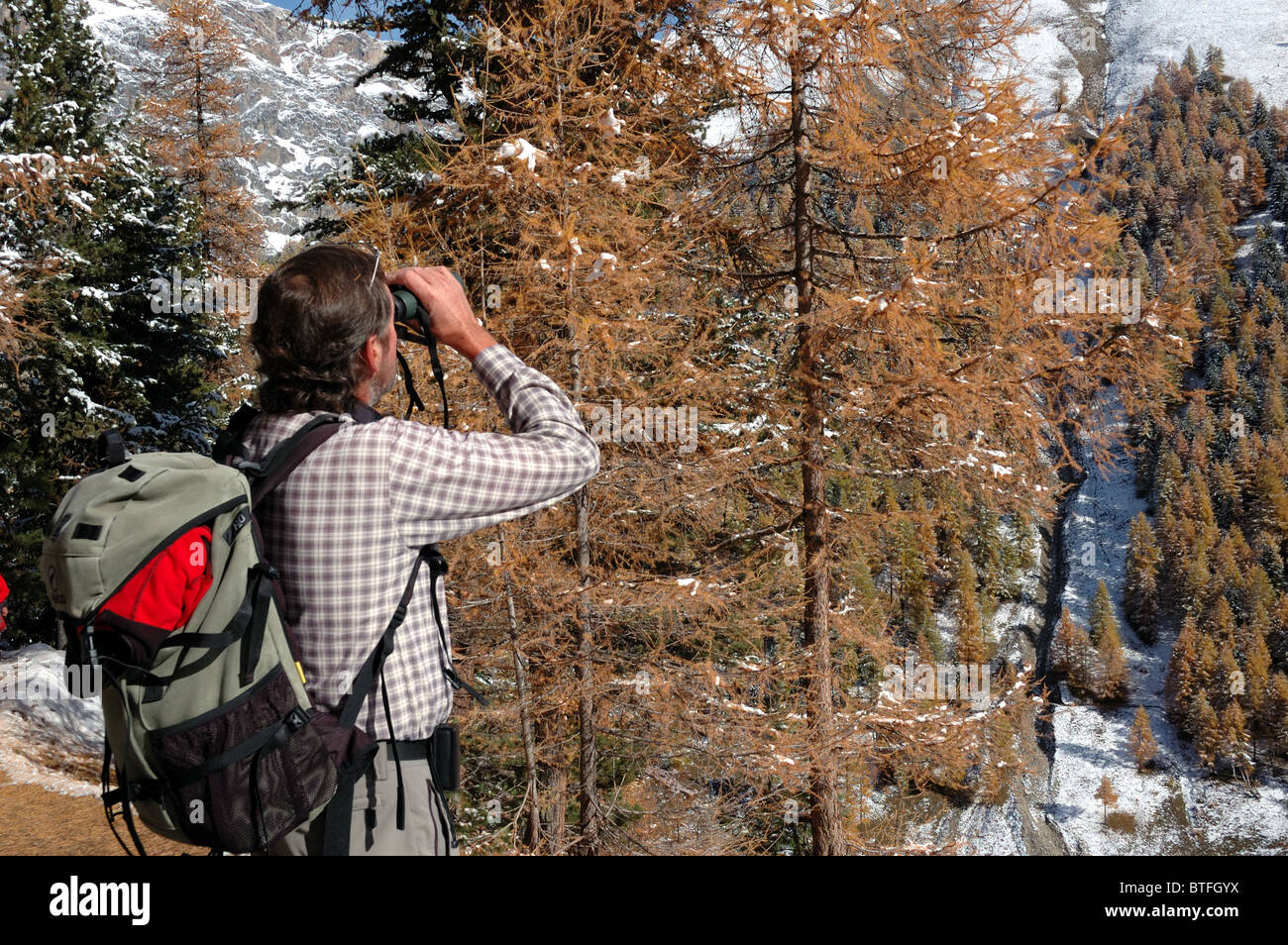 Hiker observing wildlife in Val Trupchun, Swiss National Park Stock Photo