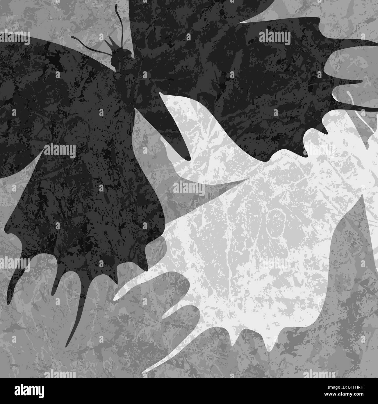 Illustration of black and white butterflies Stock Photo