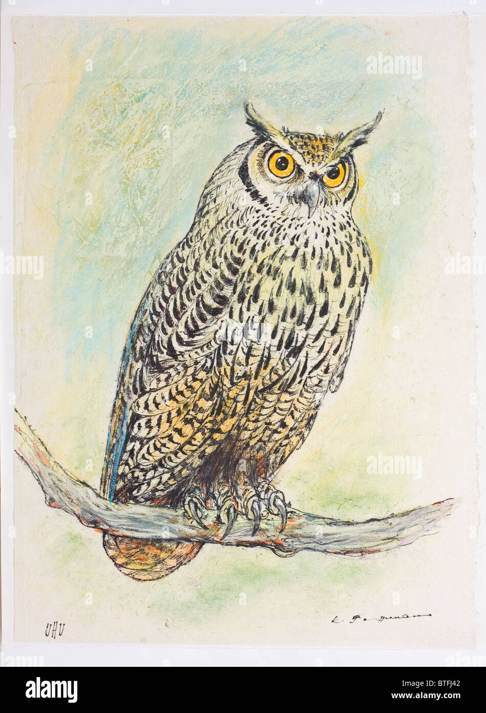 Painting of owl hi-res stock photography and images - Alamy