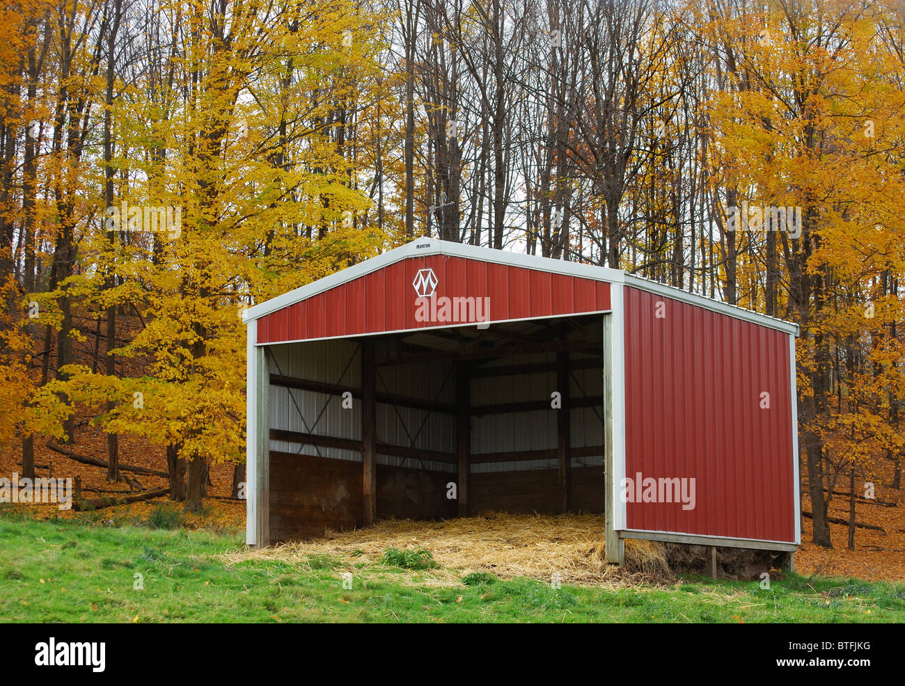 Farm shed shelter for pasture animals Stock Photo Alamy