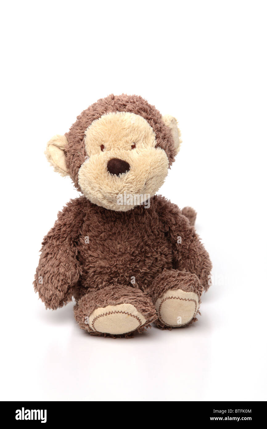 Brown Teddy Sitting on White Isolated Background Stock Photo - Alamy