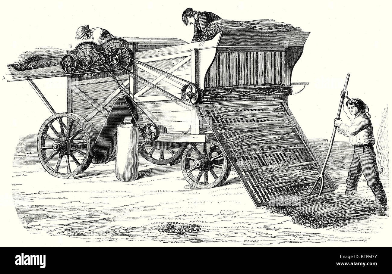 Sheaves of grain hires stock photography and images Alamy