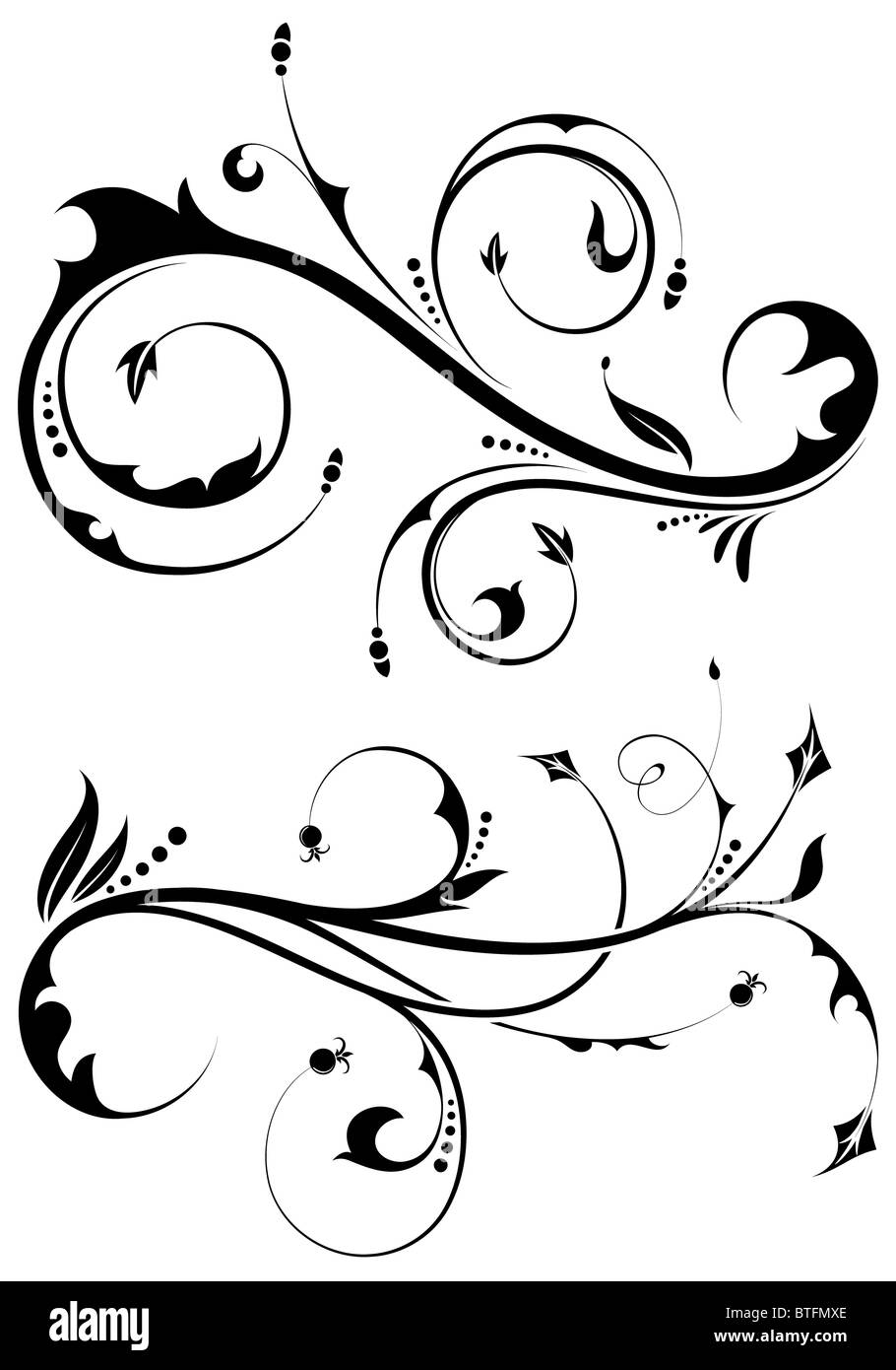 Floral scroll, element for design, vector illustration Stock Photo Alamy