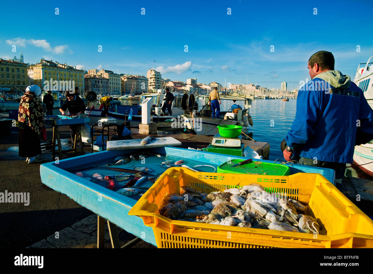 THE MARKET FISH, QUAI DES BELGES, MARSEILLE, PROVENCE, FRANCE Stock
