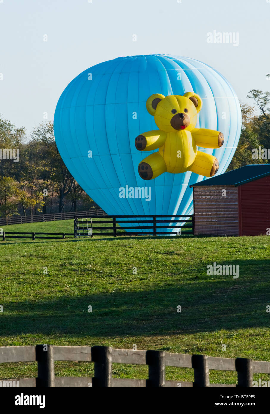A hot air balloon lands on a farm at the Virginia Balloon Festival in