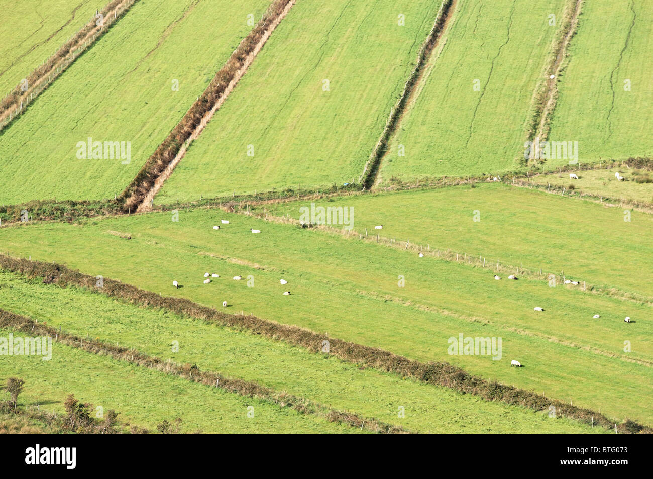 Fields laid out in a herringbone pattern for good drainage. Near Lenan, Inishowen Peninsula, County Donegal, Ulster, Eire. Stock Photo