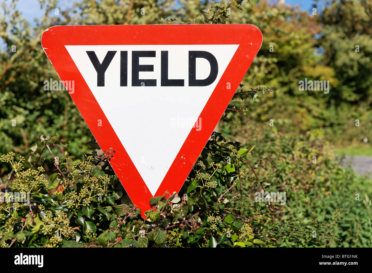 Yield road sign in Ireland. Stock Photo