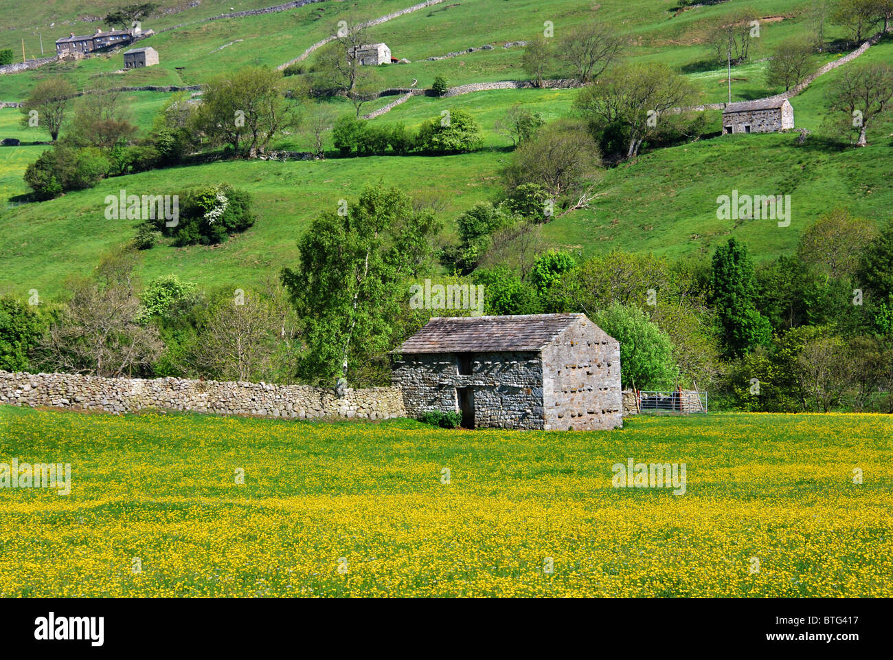 Cattle barns in Swaledale, North Yorkshire,UK Stock Photo Alamy
