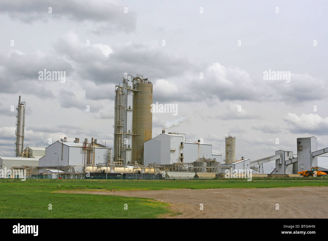 Cattle production operations hires stock photography and images Alamy