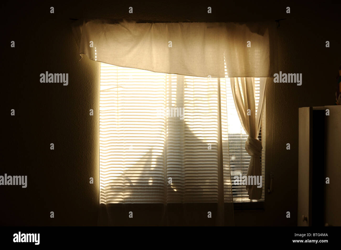Shadows on curtains Stock Photo Alamy