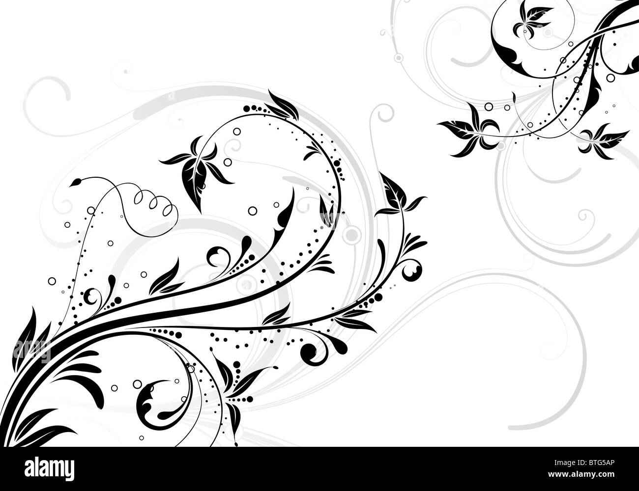 Floral Background for design, vector illustration Stock Photo Alamy