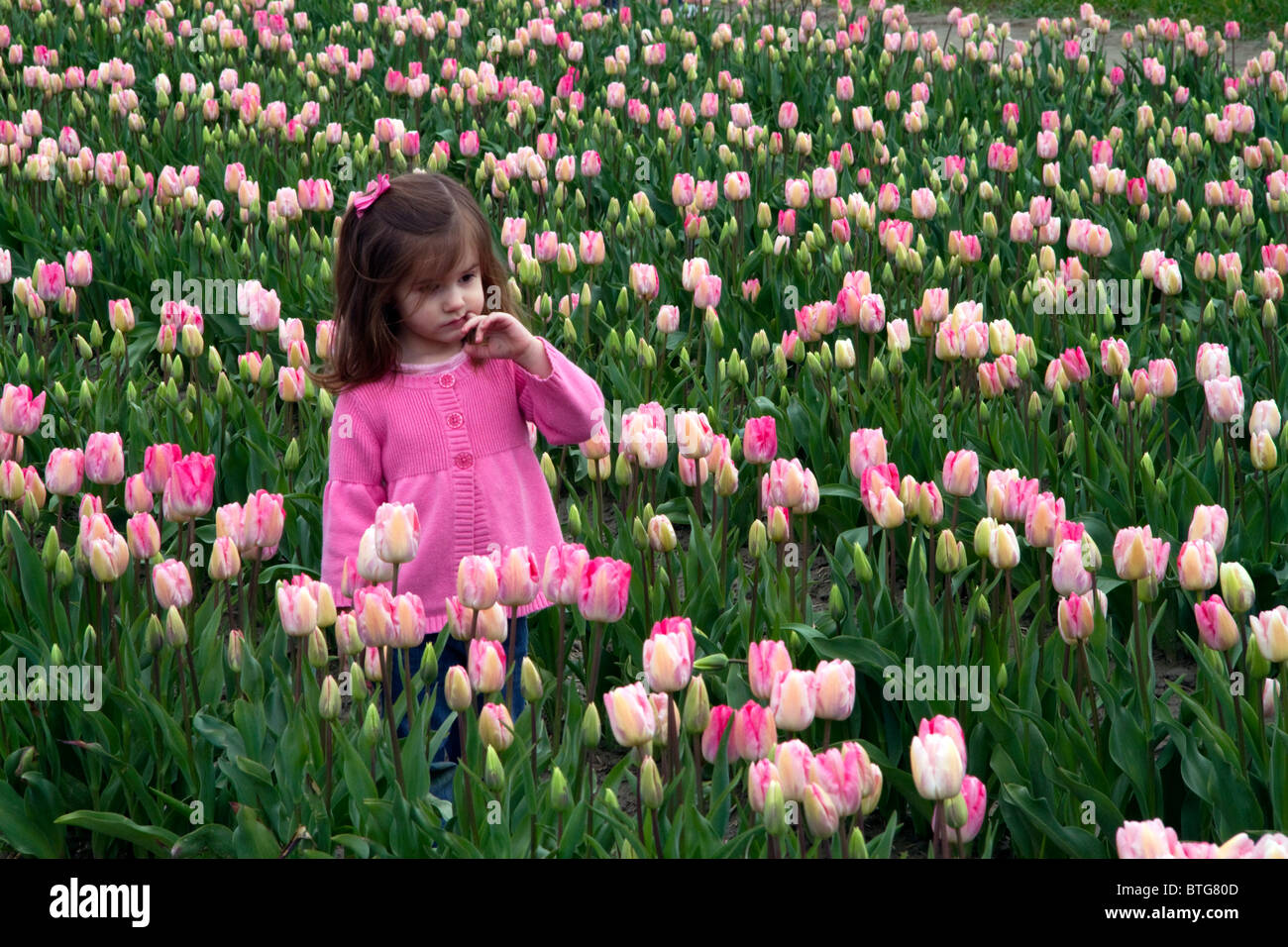 Young girl standing in a show garden of spring-flowering tulip bulbs in Skagit Valley, Washington, USA. Stock Photo