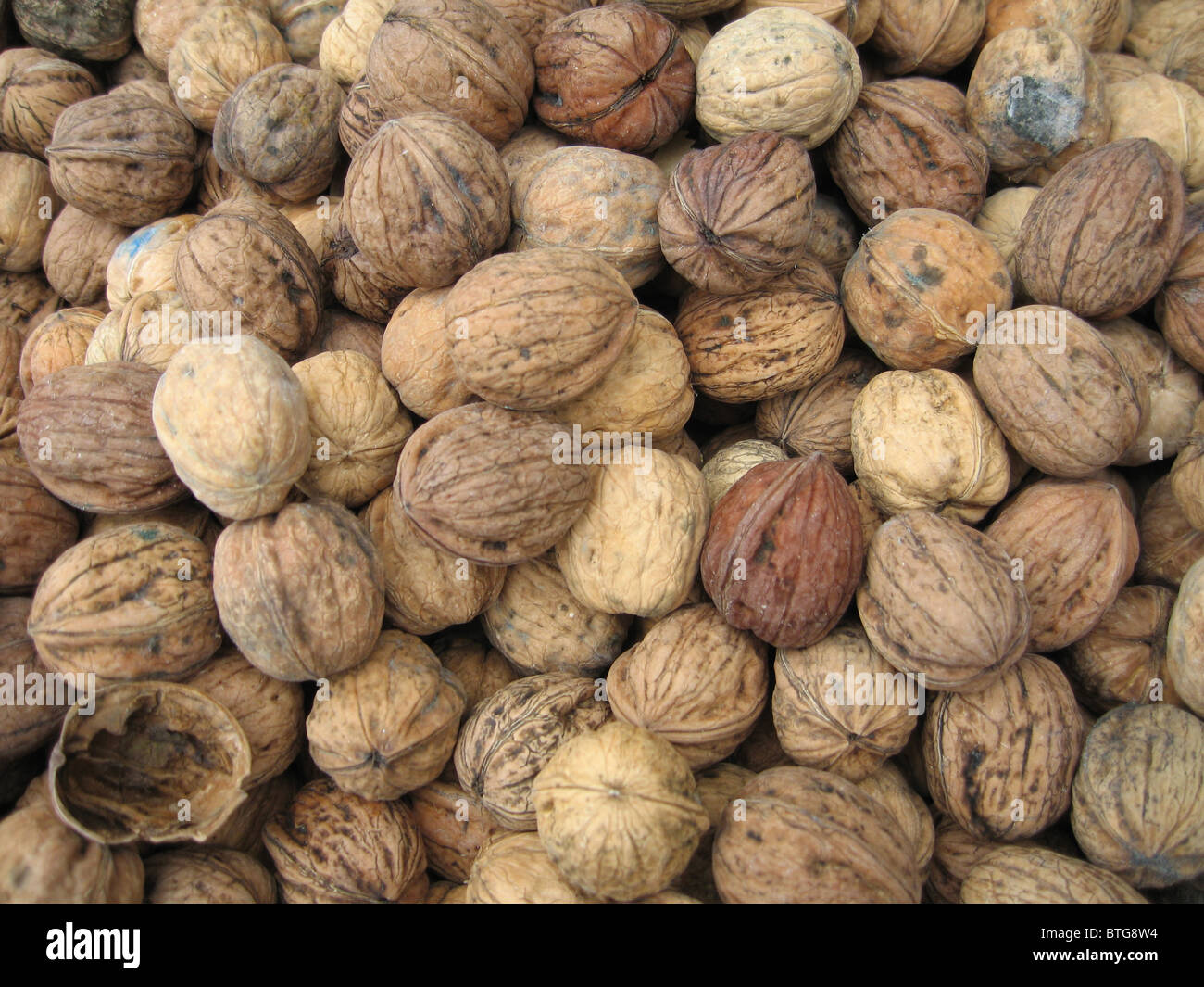 Walnut wet food hires stock photography and images Alamy