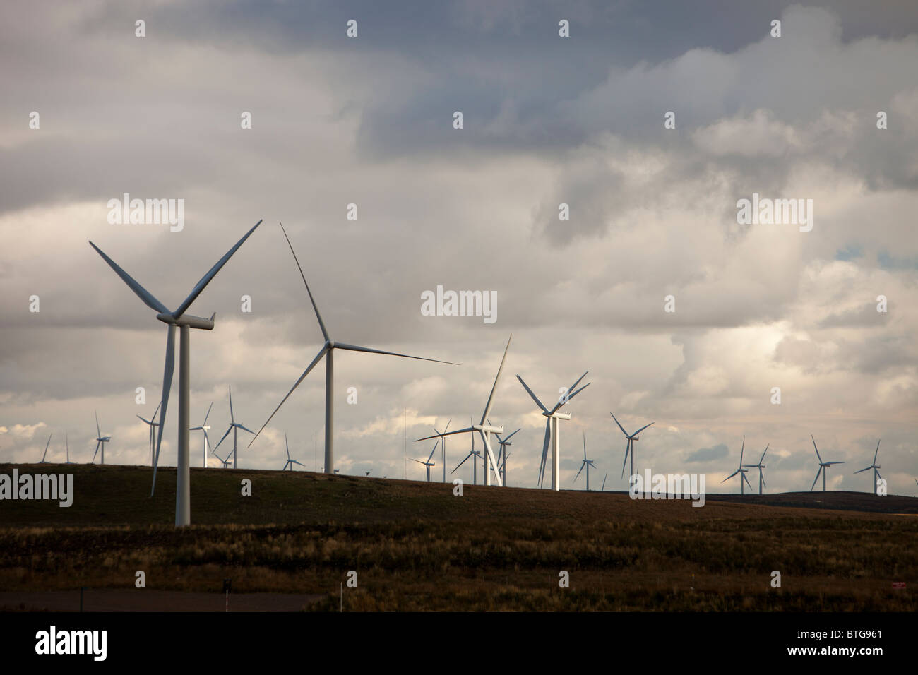 Whitlee wind farm south of Glasgow, Scotland, UK, is Europes largest onshore wind farm with 140 turbines. Stock Photo