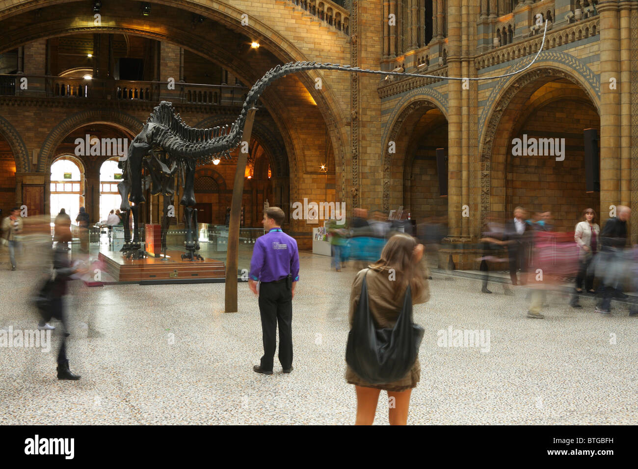 Museum attendant looks on at dinosaur in the main hall of the Natural History Museum as people pass Stock Photo