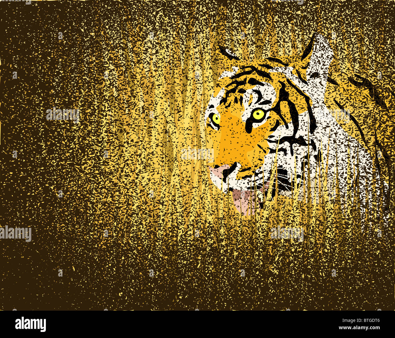 Illustration of a tiger in grass with grunge Stock Photo