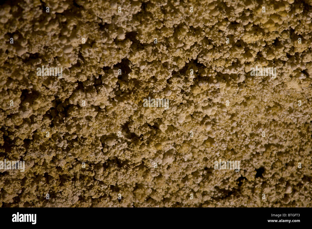 Cave popcorn speleothems in Carlsbad Caverns National Park in southern