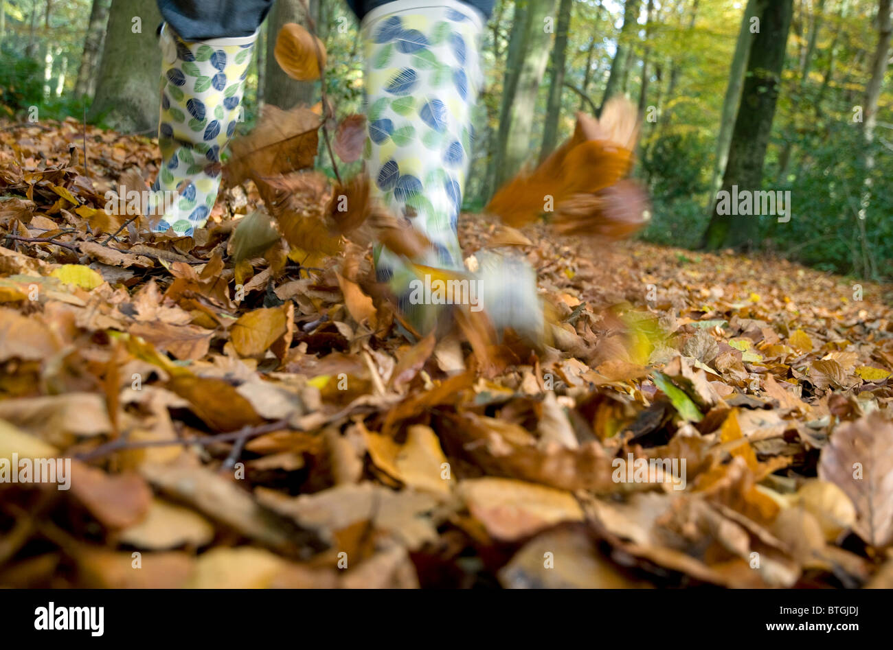 Person in the forest hi-res stock photography and images - Alamy